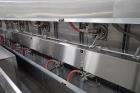 Babbco Direct Fired Tunnel Oven